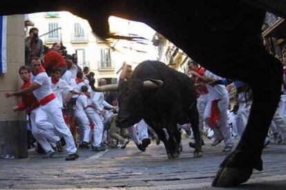 Los toros de Domecq, en la curva de Mercaderes.