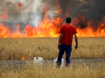 Un pastor observa el avance del fuego entre Tábara y Losacio, el pasado 18 de julio.