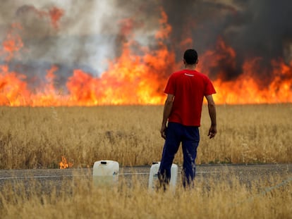 Un pastor observaba un incendio que quema un campo de trigo entre Tábara y Losacio, en la provincia de Zamora, el lunes.