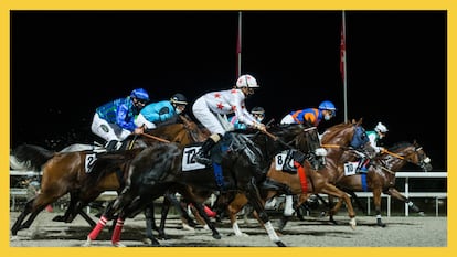 Hipódromo de la Zarzuela, carrera de caballos en Madrid, carrera en el hipódromo la Zarzuela, caballos en Madrid, carrera de caballos