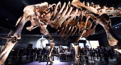 El Titanosauro, el mayor dinosauro expuesto en el Museo de Historia Natural de Nueva York, el jueves en la presentación a la prensa.