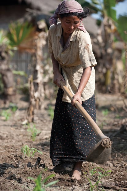 Una mujer trabaja en el campo, en Putao (Myanmar). A consecuencia del derretimiento de los glaciares del HKH, los principales ríos de Asia como el Ganges, el Mekong, el Brahmaputra y el Indo se desestabilizarán y ello afectará a esa cuarta parte de la humanidad que habita la región y depende de ellos.