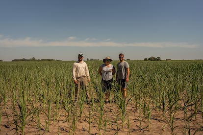 Los rancheros y hermanos de Rosario, Joan, Nadia y Dritter Hofer, posan en su campo de maíz arruinado por la sequía.