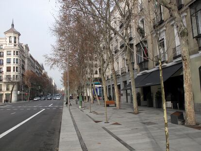 El arbolado de la calle Serrano de Madrid es un ejemplo de al menos dos de los errores que se cometen con los árboles en la capital: que se plantan muy juntos y sus alcorques se ciegan con mármol o granito. |