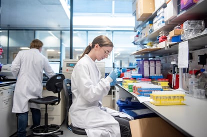 Un laboratorio de la Universidad de Oxford en el que analizan muestras para la vacuna.