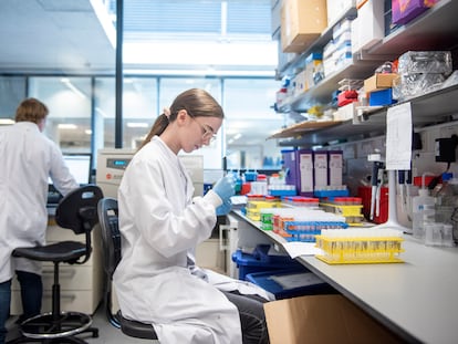 Un laboratorio de la Universidad de Oxford en el que analizan muestras para la vacuna.