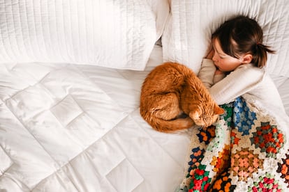 A la hora de que los ni?os duerman con sus perros o gatos, es importante no forzar situaciones y tener en cuenta que cada animal tiene una forma diferente de descansar, igual que las personas.