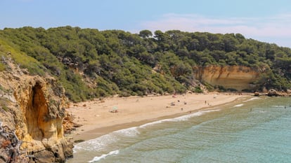 Cala Fonda o Waikiki es la caleta natural (y en parte nudista) por excelencia de la Costa Dorada. Un arrebato de pinos y arena cuya bajada entraña algunos riesgos.