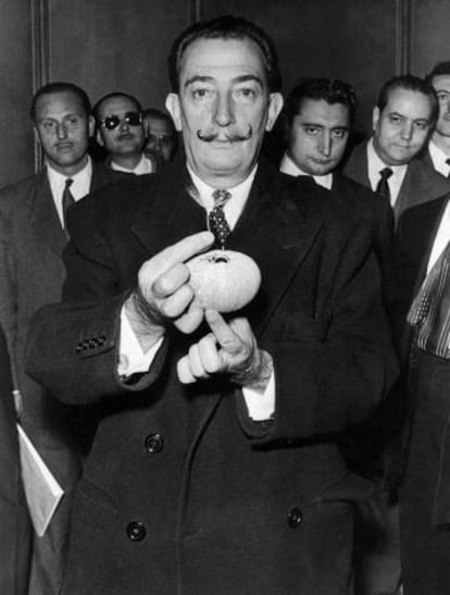 Dalí mostrando la capacidad pictórica del erizo.