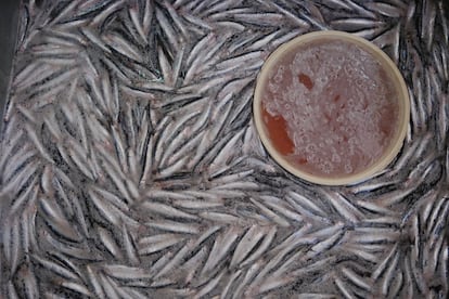 The head and entrails of anchovies are removed before being salted. Image provided by Grupo Consorcio.