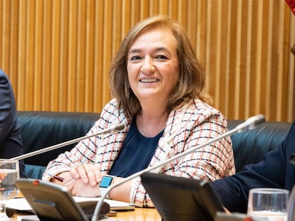 La presidenta de la Airef, Cristina Herrero, este lunes en el Congreso.