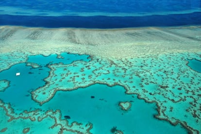 400 especies coralinas, 1.500 de peces y 400 de moluscos crecen en las tropicales de la Gran Barrera australiana, en las que conviven con un ejército de barcos turísticos con buceadores de todo el mundo a bordo.