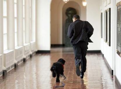 El presidente de EE UU, Barack Obama, con su nueva mascota, en los pasillos de la Casa Blanca, en Washington.