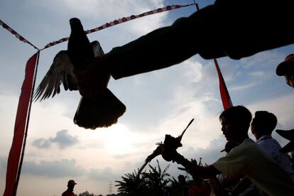 Unos participantes sostienen hembras de paloma para atraer a sus ejemplares masculinos durante una carrera de palomas en Depok (Indonesia).