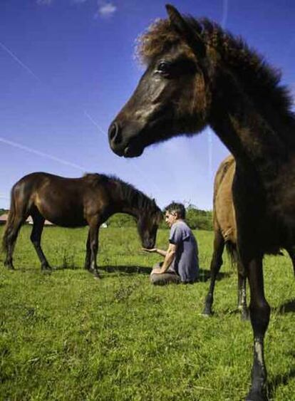 Severino García con dos de sus caballos asturcones en la finca de la Foncalada del Ecomuseo Ca l'Asturcón, en Argüero 
(Asturias).