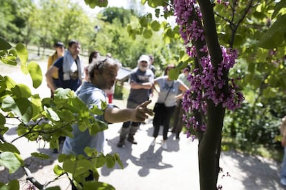 Una de las visitas bot&aacute;nicas a la Casa de Campo.