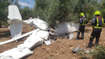 La avioneta accidentada este sábado.