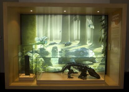 La exposición ha añadido nuevos dioramas.