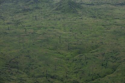 Un área deforestada recientemente se transforma en un enorme rancho ganadero en el Estado de Maranhão, en la Amazonía brasileña.