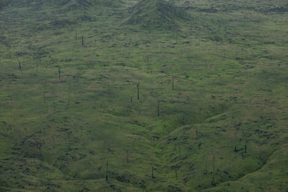 Un área deforestada recientemente se transforma en un enorme rancho ganadero en el Estado de Maranhão, en la Amazonía brasileña.