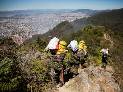 Soldados combaten el incendio en las colinas del oriente de Bogotá, el 23 de enero.