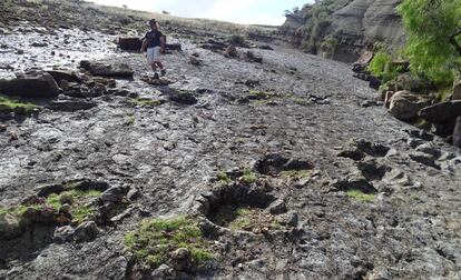 Huellas de dinosaurios en el yacimiento de Cal Orck'o en Humaca.