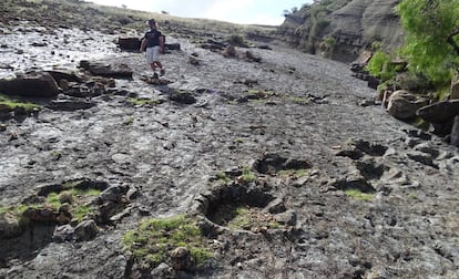 Huellas de dinosaurios en el yacimiento de Cal Orck'o en Humaca.