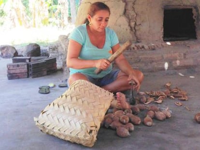 Maria de Fátima quebra o babaçu em Esperantina.