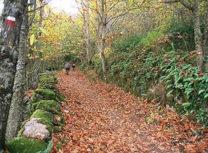 Un tramo del Camino del Agua, que une los pueblos de Mogarraz y Monforte de la Sierra, en Salamanca.
