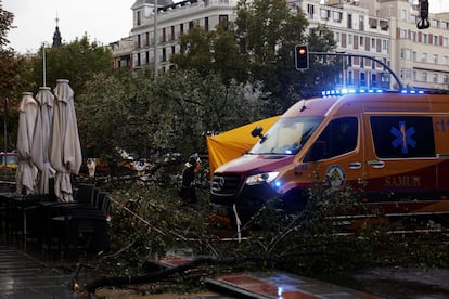 Un bombero limpia las ramas del árbol que ha caído este jueves en la calle Almagro, a consecuencia de los fuertes vientos.