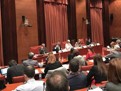 Santi Vila, durante su comparecencia en la comisi&oacute;n de cultura del Parlament.