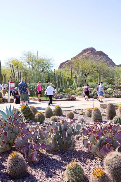Visitantes paseando por el Desert Botanical Garden, en la ciudad de Phoenix (Arizona).