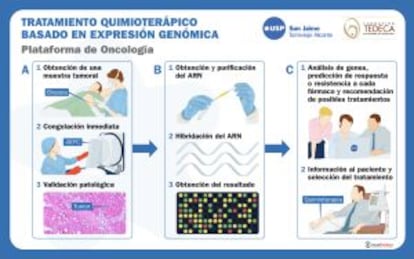 Esquema del tratamiento en el hospital de Torrevieja.