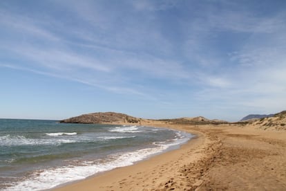 El parque regional de Calblanque, Monte de las Cenizas y Peña del Águila constituye, justo detrás del Mar Menor, uno de los ecosistemas más portentosos de la ribera mediterránea. No extraña por tanto que mañana sábado (22 de junio) entren en vigor las restricciones de acceso <a href="http://www.murcianatural.carm.es/web/guest" target="_blank">(murcianatural.carm.es).</a> El primer playón, junto al aparcamiento de El Atochar, recibe el nombre de playa Larga por sus tres kilómetros de arena fina color pajizo. En el sector oeste, de acceso a pie (salvo para los autobuses lanzadera), Negrete es una maravillosa playa de tradición naturista que ostenta las dunas de mayor relieve. Este litoral es genéricamente peligroso por sus corrientes (no llevar flotadores).