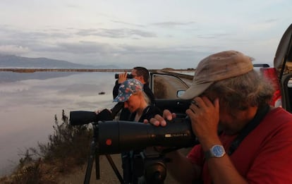 Malling Olsen, Välimäki y Copete observando aves en el delta durante el festival.