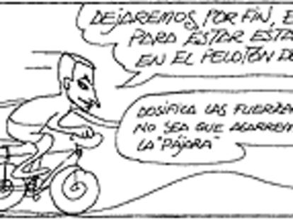 PERIDIS