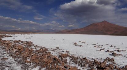 Salar El Rincón, en Salta, de la empresa Rincon Ltd.