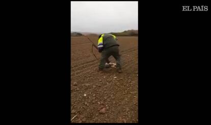 Imagen del cazador maltratando al zorro. El vídeo fue eliminado por YouTube.