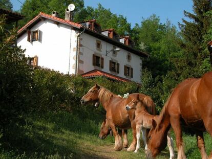 Casa rural en el Pirineo navarro, con un pequeño corral doméstico manejado de manera ecológica en el que viven gallinas, conejos, cabras, cabritos y burros. Entre sus planes: sembrar, regar, recolectar y embotar las verduras, hortalizas y todo tipo de frutas que crecen en su pequeña huerta jardín, con las que se abastecen todo el año. Y en época de setas, castañas o fresas silvestres organizan paseos para recolectarlas y una posterior sesión de cocina para degustarlas. Dónde: San Andrés, 23; Villanueva de Arce. www.casaruralennavarra.com.