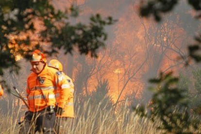 Bomberos trabajando en el incendio 