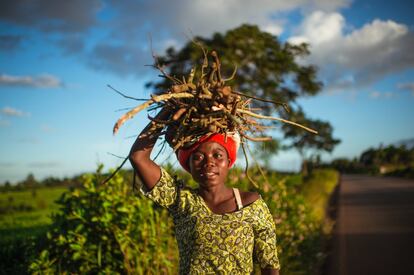 Una residente de una las reservas naturales de Malaui, al sureste de África, en octubre de 2021.