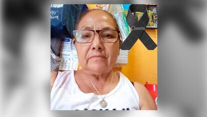 Madre buscadora Teresa Magueyal