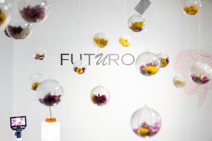 Decoración de flores del futuro en la muestra gastronómica 'A Tres Tiempos'.