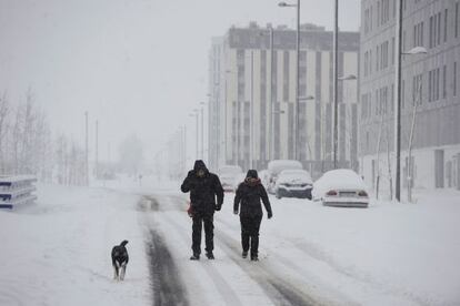 Imagen de la fuerte nevada en la capital alavesa que afecta a la red viaria.