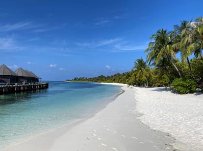 Playas de Kuredu, isla del archipiélago de las Maldivas.