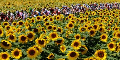 Pelotón del Tour de Francia en 2009. 