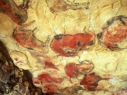 Bison painted around 14,000 years ago in the Altamira complex.