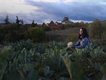 Bolonia: de la granja a la mesa