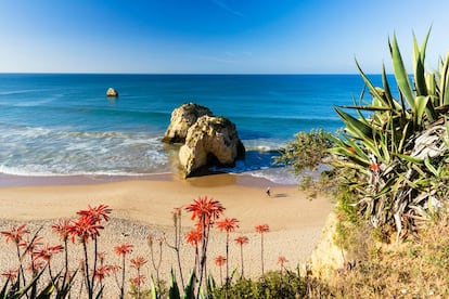 Con su tradición conservera, es normal que la sencilla Portimao sea uno de los mejores lugares del Algarve para comer marisco. A dieciséis kilómetros al suroeste de Silves, la segunda ciudad más grande del Algarve cuenta también con playas fabulosas, como Praia da Rocha (en la foto), y hasta un arrecife artificial, único en el mundo, cuatro barcos de la Armada portuguesa y diseñado especialmente para submarinistas.