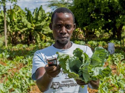 Agri-wallet es una plataforma que ofrece financiación a pequeños agricultores kenianos. Imagen cedida por la empresa.